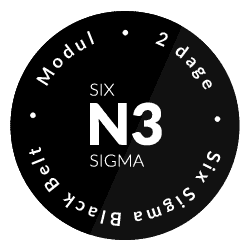 Modul - Six Sigma Black Belt