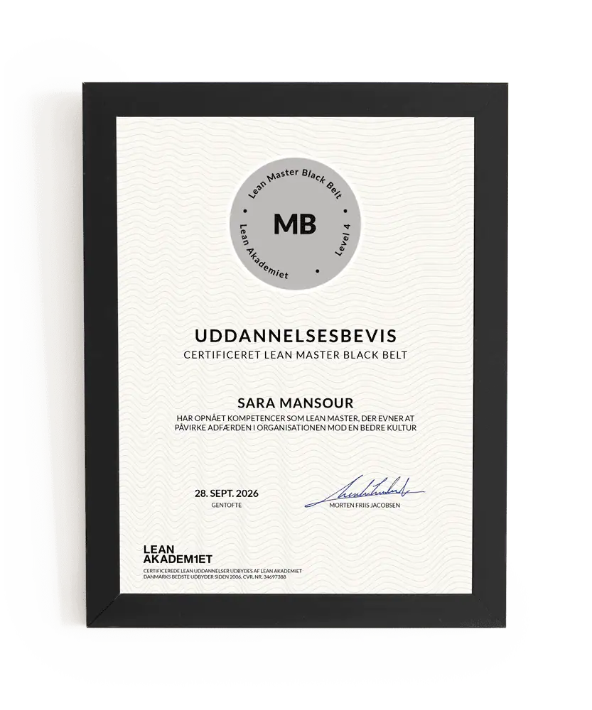 Lean Master Black Belt - certifikat
