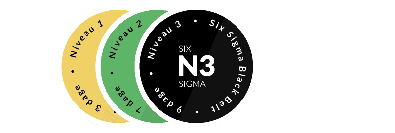 Certificeret Six Sigma Black Belt