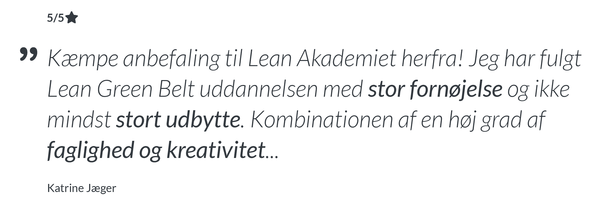 Bruger anmeldelser Google