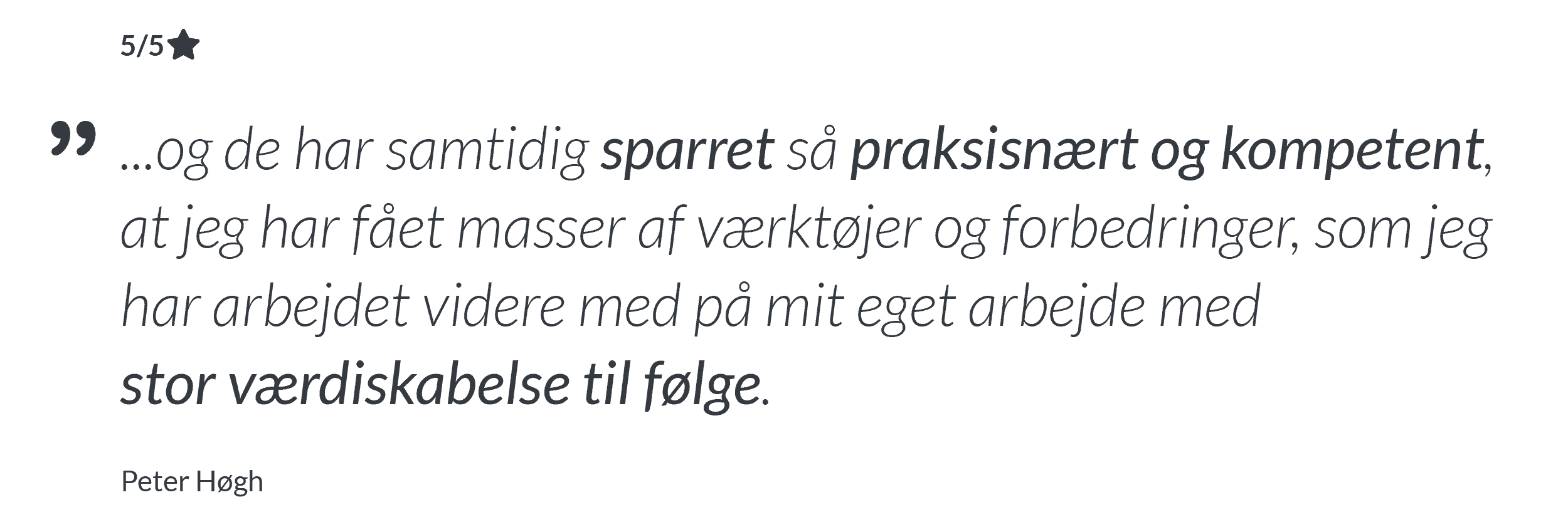 Bruger anmeldelser Google