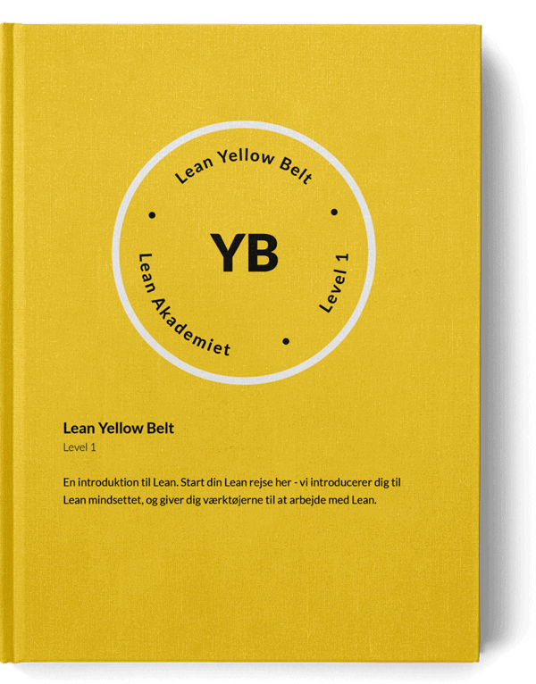 LYB (L1)(PDF)