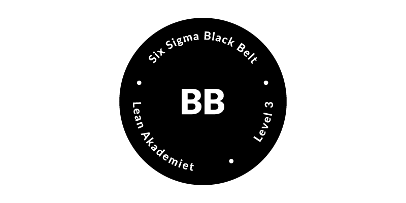 Lean Akademiet - Six Sigma Black Belt (moduluddannelse)