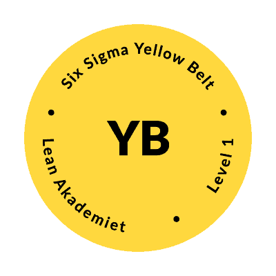 Six Sigma Yellow Belt - knude