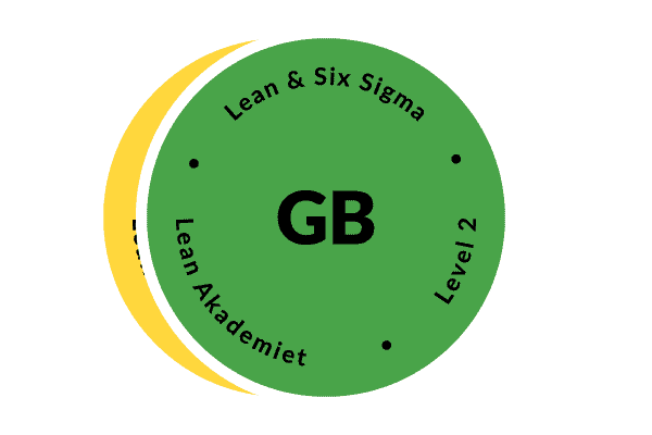 Lean Six Sigma Green Belt - container