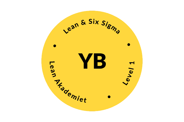 Lean Six Sigma Yellow Belt - container