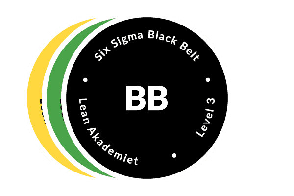Six Sigma Black Belt - container