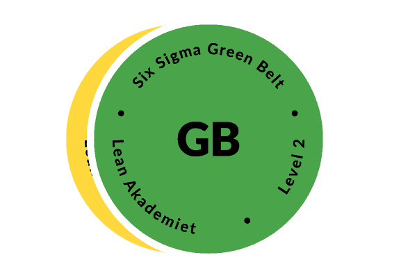Six Sigma Green Belt - container
