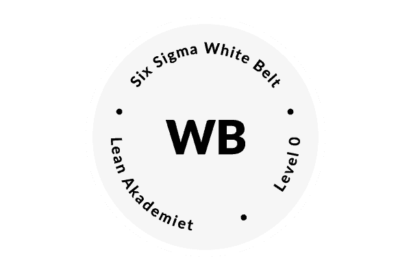 Six Sigma White Belt - container