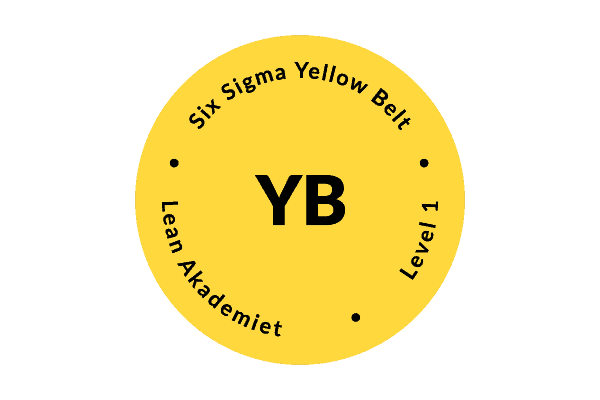 Six Sigma Yellow Belt - container